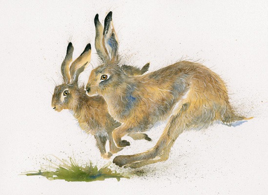 Escape To The Country (Hares)