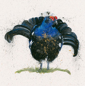 Squire (Black Grouse)