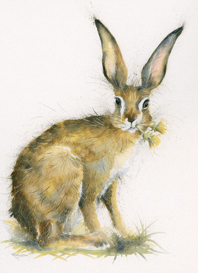 Just Dandy (Hare) - LGE