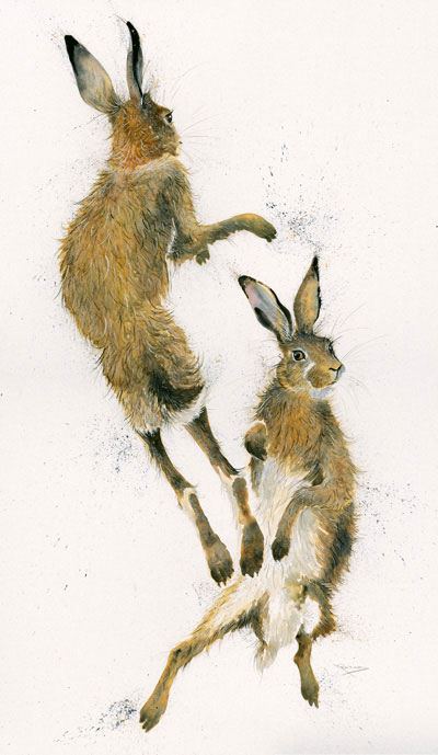 Challenger (Hares) - LGE