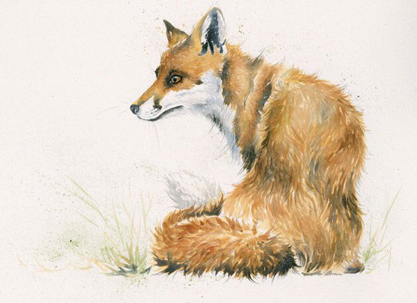 Vixen (Fox) - SML 