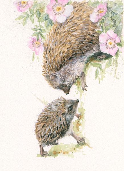 A Helping Hand (Hedgehogs) 