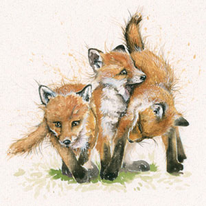 Ace of Cubs (Fox Cubs) 