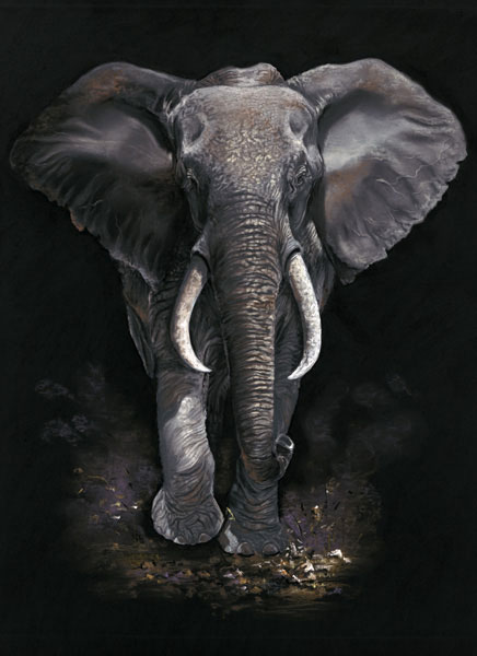 Heart of Africa (Elephant) 