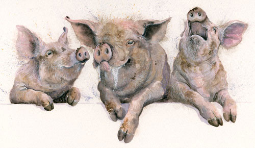 Porky Pies (Pigs)