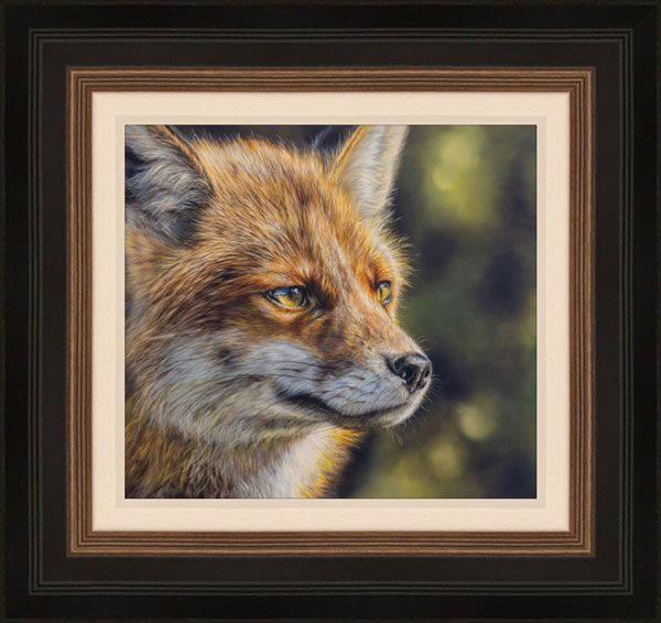 Focus - Fox 