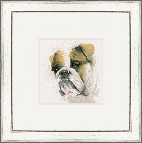 Winston (Bulldog)