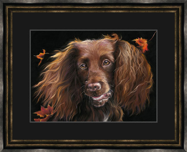 Breeze (Cocker Spaniel) - SML 