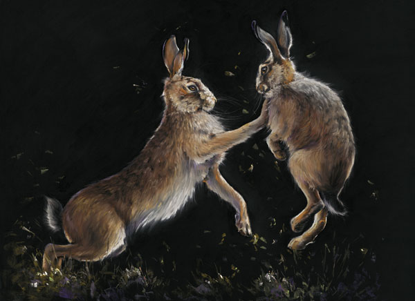 Bun Fight (Hares) - LGE 