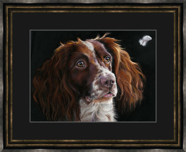 The Feather (Spaniel) - SML 