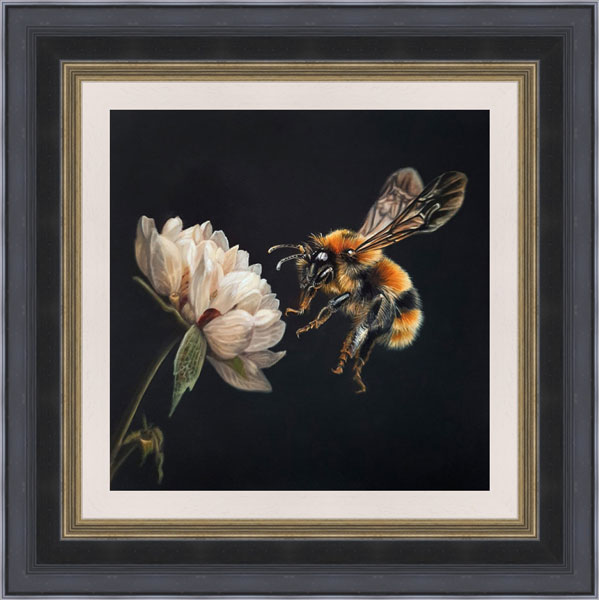 Sarah Eden - The Pollinator (Bee)