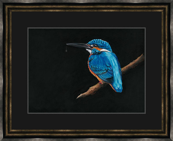 Royal Blue (Kingfisher) - LGE