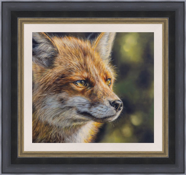 Sarah Eden - Focus (Fox)