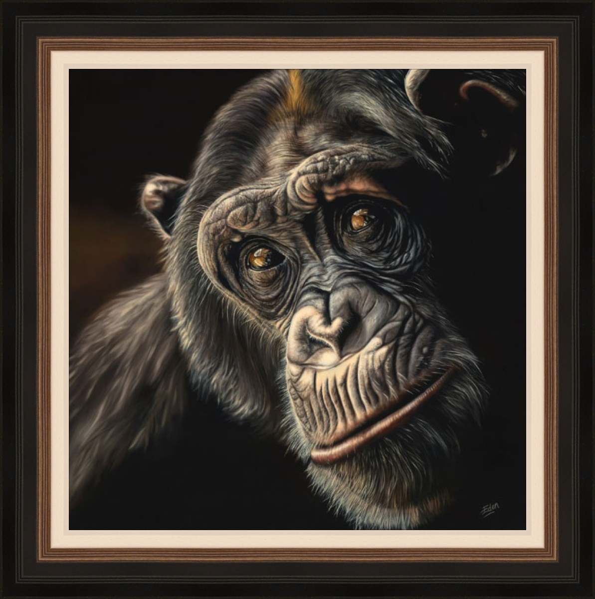 Sarah Eden - Reflection (Chimp)