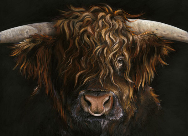 Bulls Eye (Highland Cow) - SML 