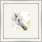 Apple A Day (Horse) Apple A Day (Horse)