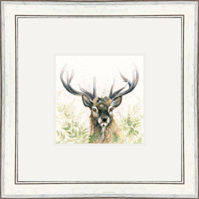 Lord Knows (Stag) Lord Knows (Stag)