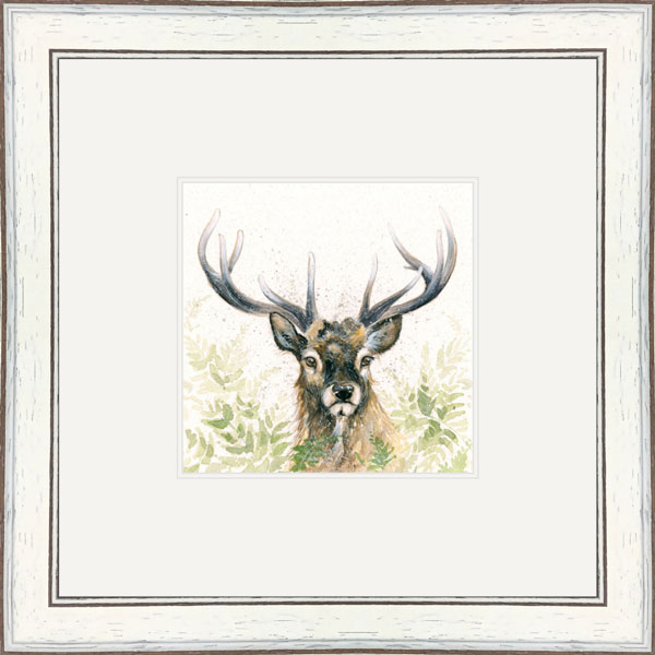 Lord Knows (Stag) Lord Knows (Stag)