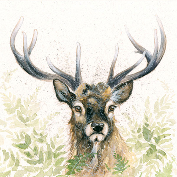Lord Knows (Stag) Lord Knows (Stag)