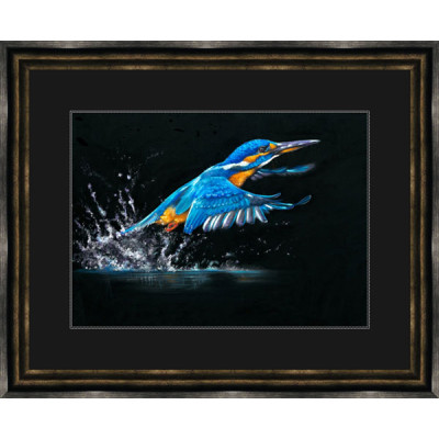 Making A Splash (Kingfisher) Making A Splash (Kingfisher)