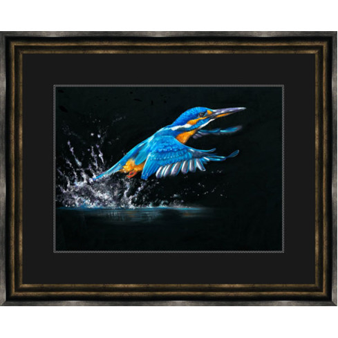 Making A Splash (Kingfisher) Making A Splash (Kingfisher)