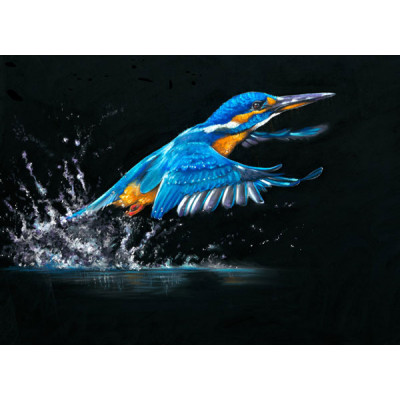 Making A Splash (Kingfisher)
