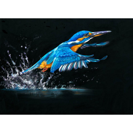 Making A Splash (Kingfisher) Making A Splash (Kingfisher)