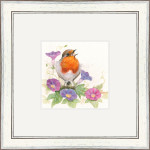 Morning Glory (Robin) Morning Glory (Robin)