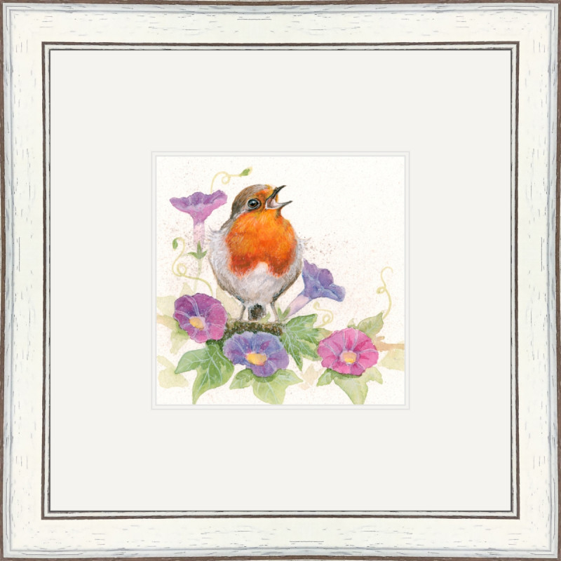 Morning Glory (Robin) Morning Glory (Robin)