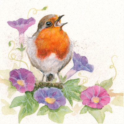 Morning Glory (Robin)