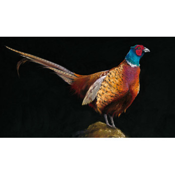 Pheasant View (Pheasant)