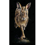 Running Late - Hare Running Late - Hare