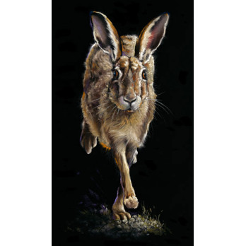 Running Late - Hare
