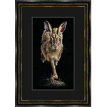 Running Late - Hare Running Late - Hare