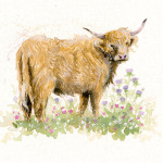 She's Got The Look (Highland Cow) She's Got The Look (Highland Cow)