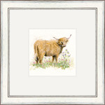 She's Got The Look (Highland Cow) She's Got The Look (Highland Cow)
