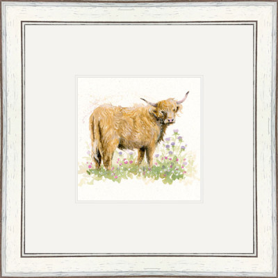 She's Got The Look (Highland Cow) She's Got The Look (Highland Cow)