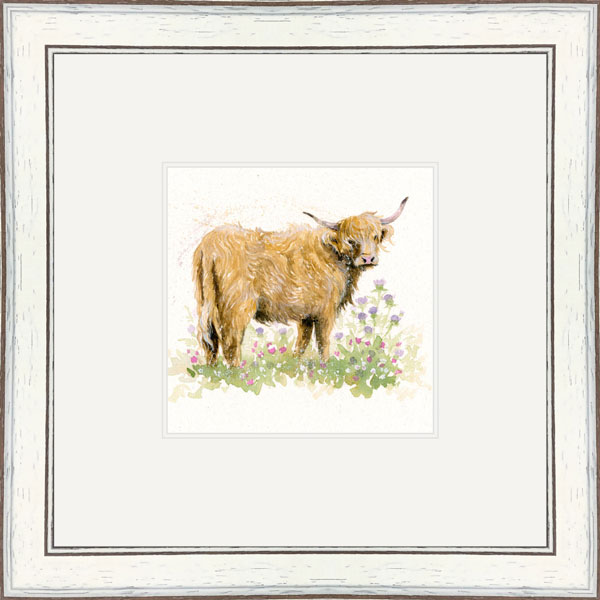 She's Got The Look (Highland Cow) She's Got The Look (Highland Cow)