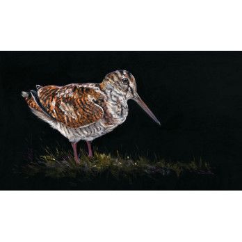 The Woodcock - Kay Johns