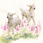 Wooly Jumpers (Lambs)