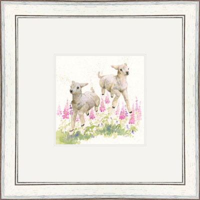 Wooly Jumpers (Lambs) Wooly Jumpers (Lambs)