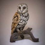 Barn Owl