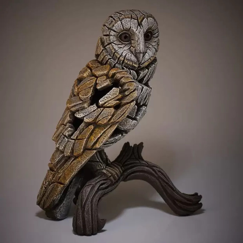 Barn Owl Barn Owl