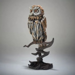 Tawny Owl