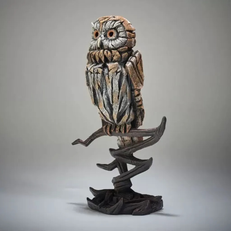 Tawny Owl