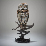 Tawny Owl
