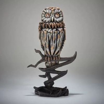Tawny Owl