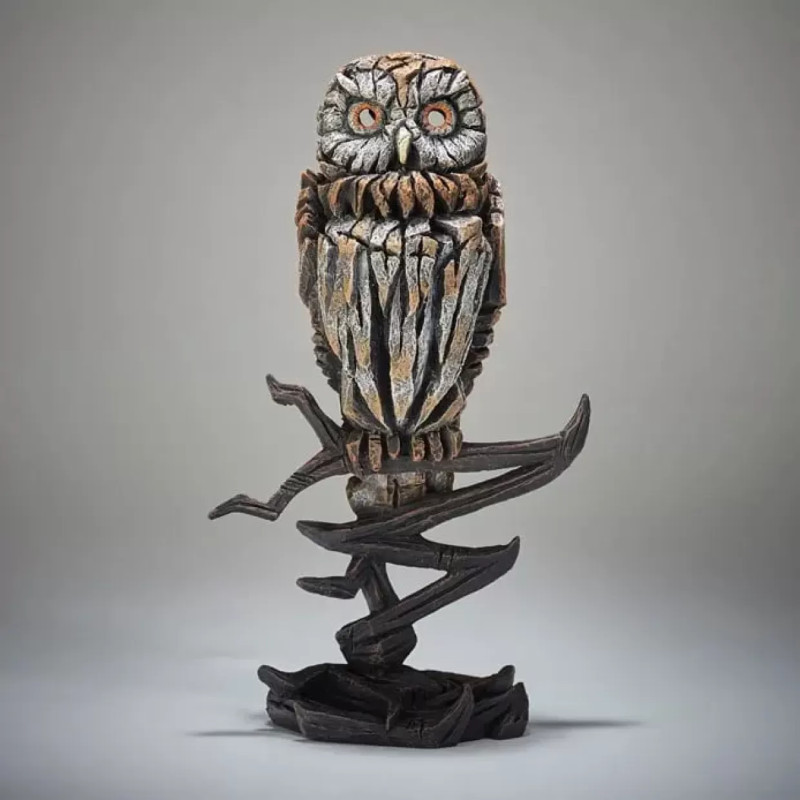 Tawny Owl
