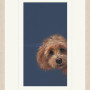 Nicky Litchfield - Sneaky Peek
