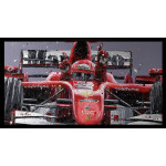 Schumacher (Canvas)